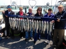 Coho Salmon and steelhead - May 17